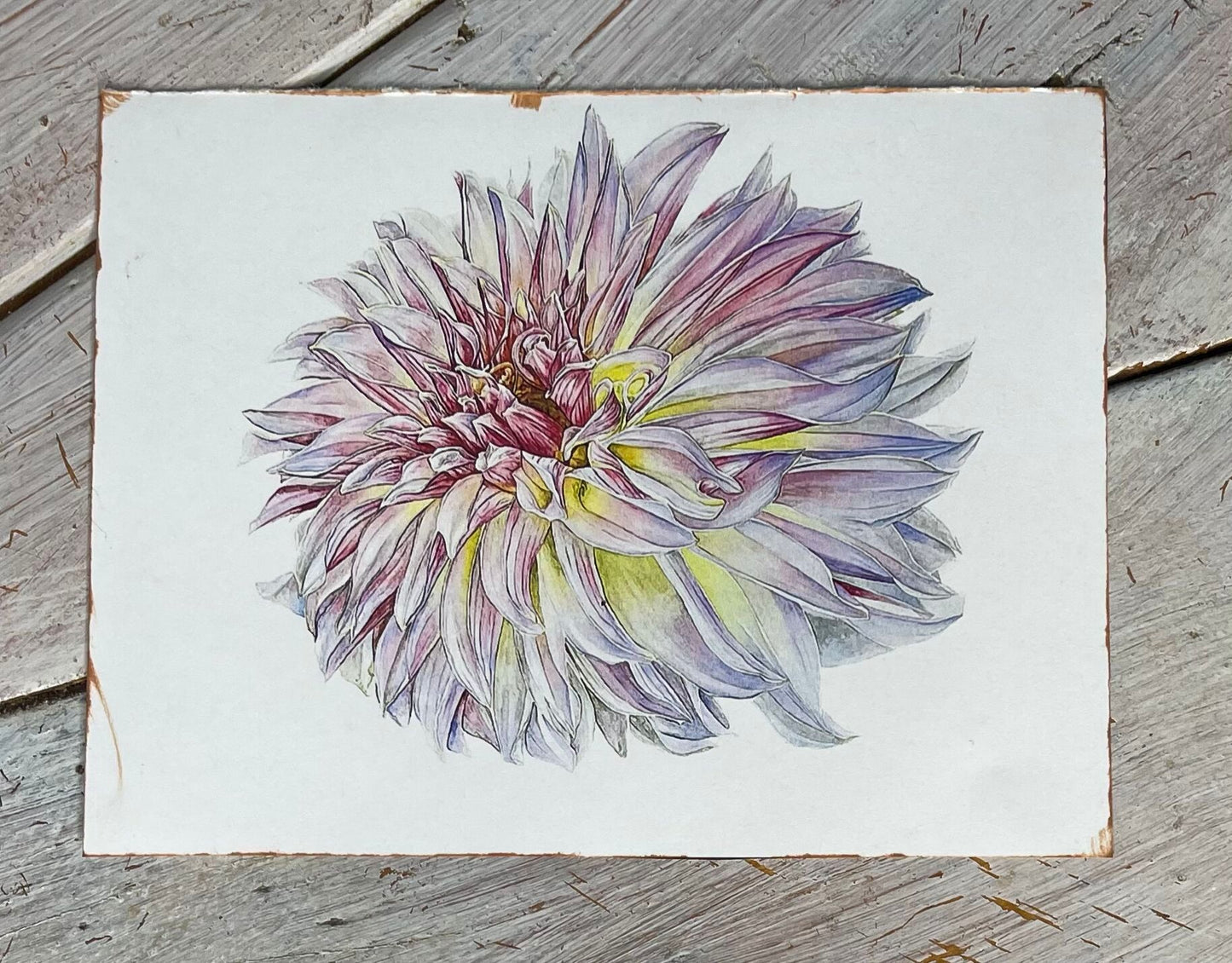 Botanical Notecard Set #5 "GROOVY BLUES"