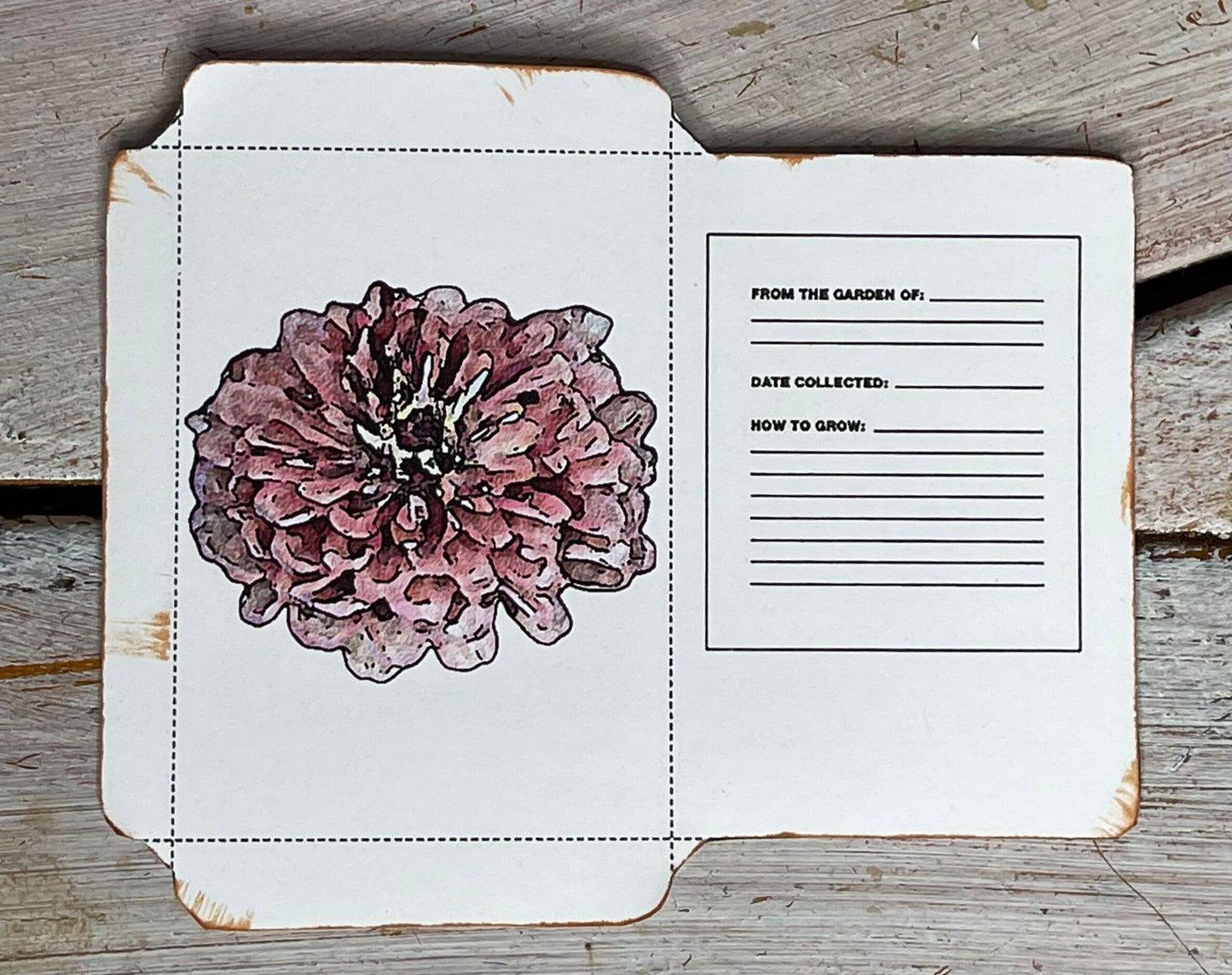 Bluestone Botanical ZINNIA seeds -  "APPALACHAIN MAGIC" mix