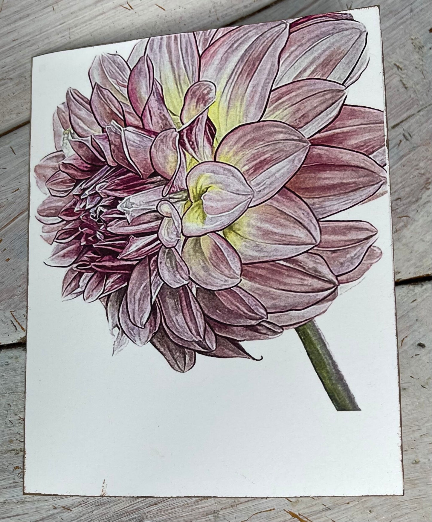 Botanical Watercolor Notecard set "KA'S " dahlias