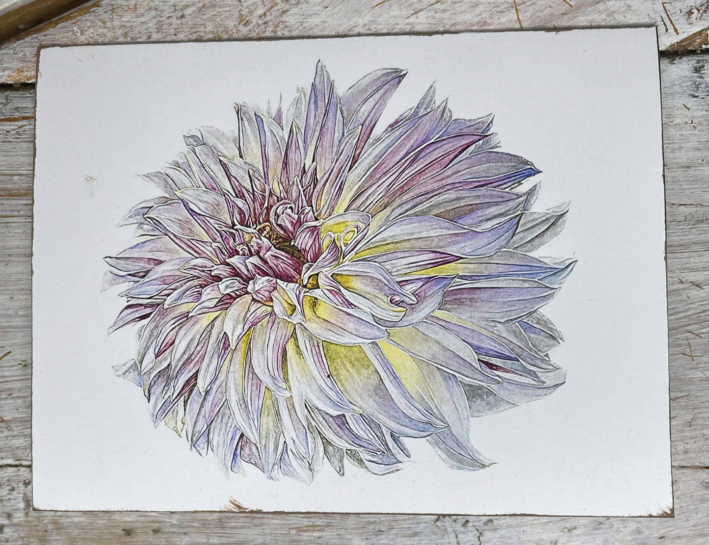 Botanical Watercolor Notecard set "KA'S " dahlias