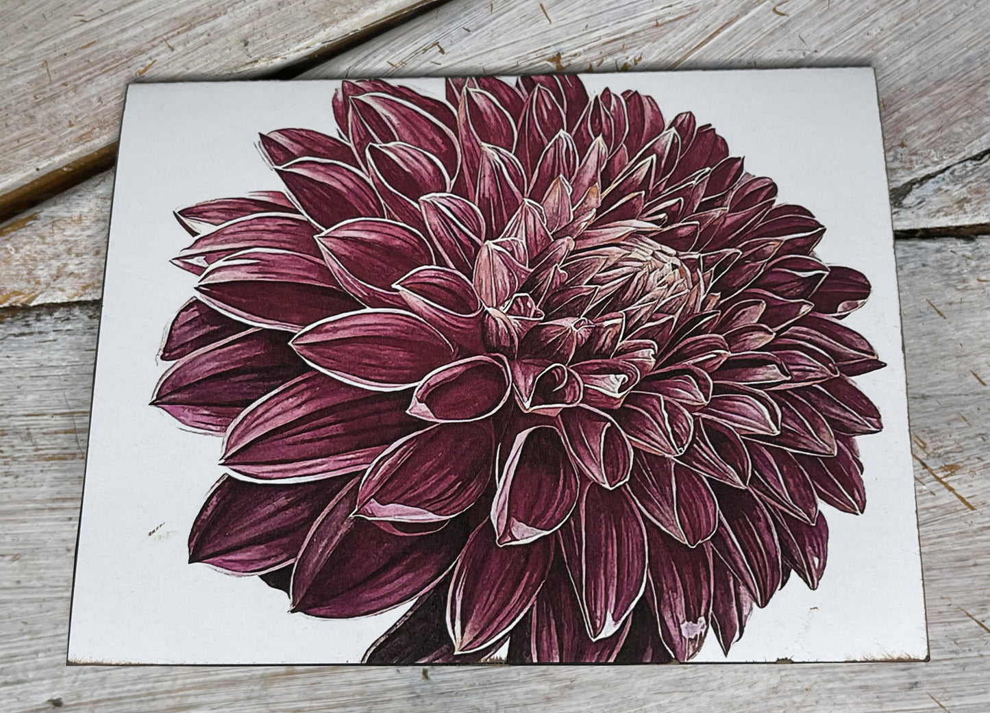 Botanical Watercolor Notecard set "KA'S " dahlias