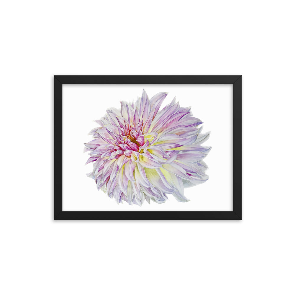 KA'S CHAMPAGNE dahlia Framed poster