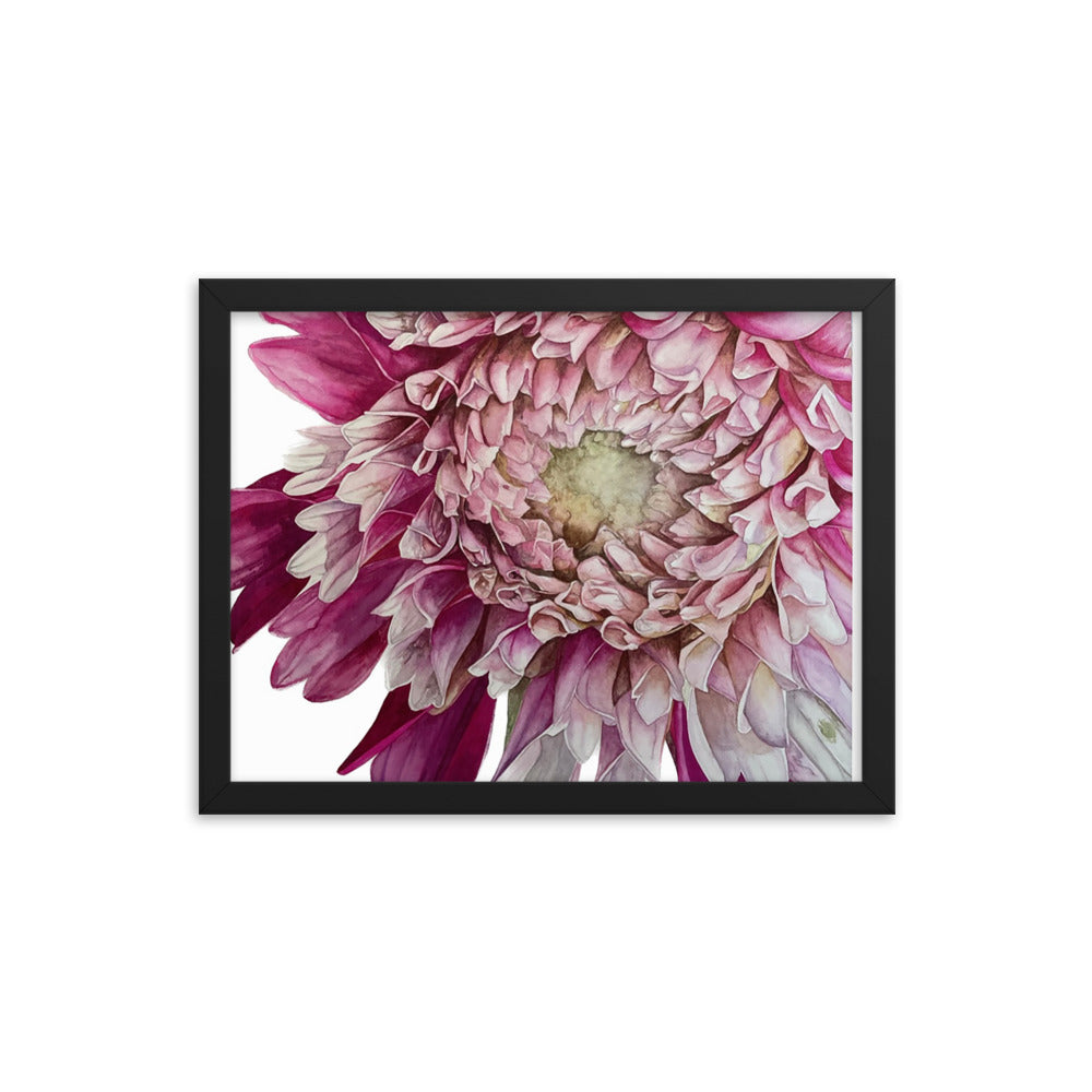 FUZZY WUZZY dahlia Framed poster