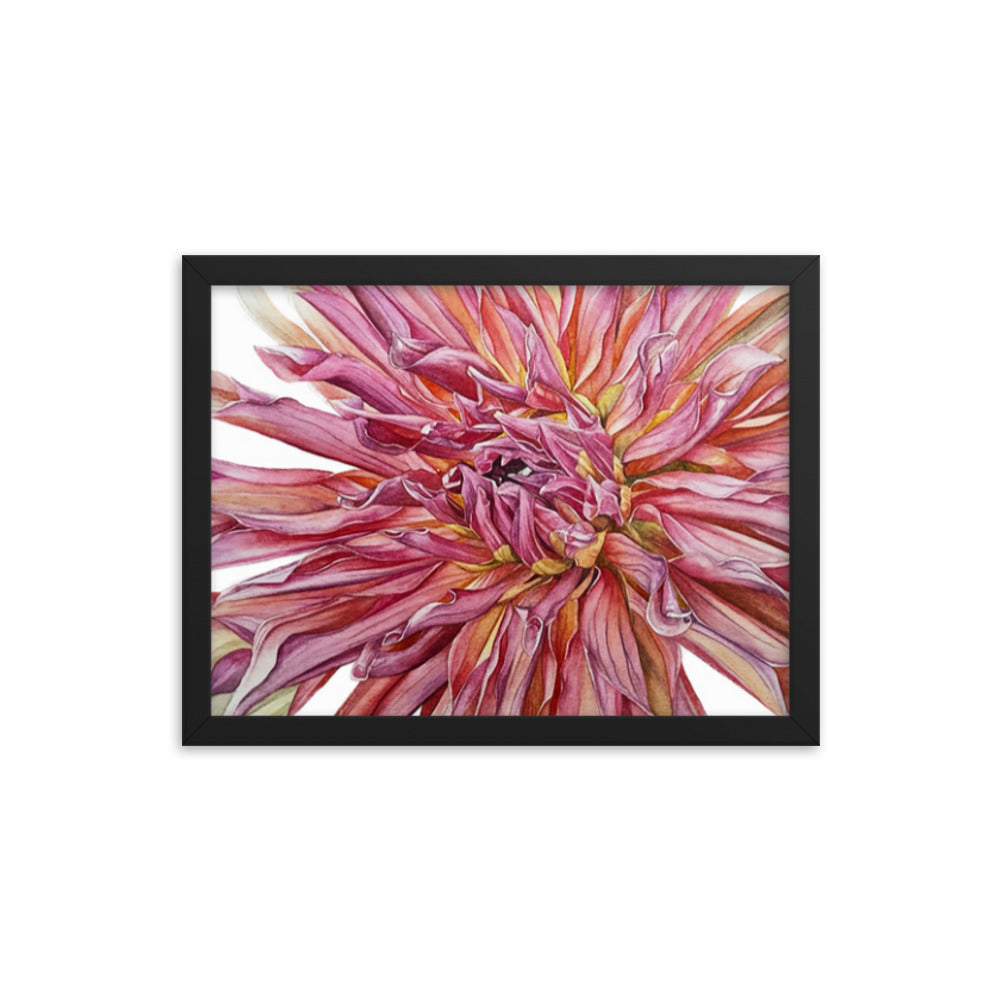 TYRELL dahlia Framed poster