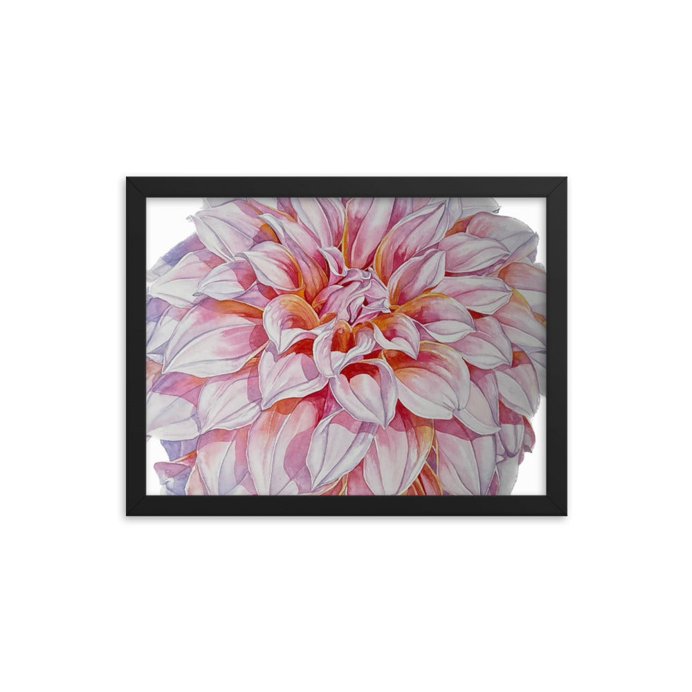 PEACHES dahlia Framed poster