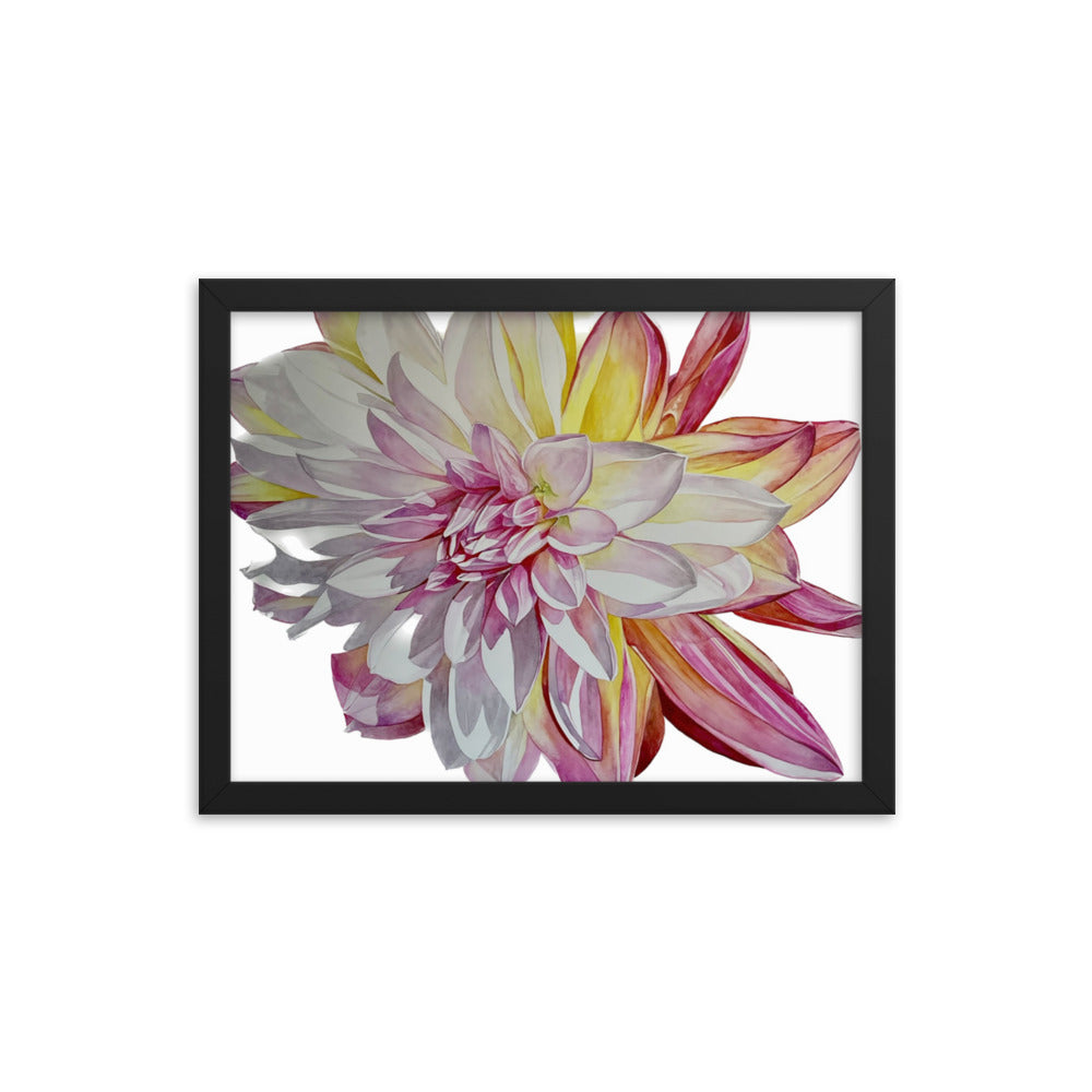 CARIBBEAN FANTASY II dahlia Framed poster