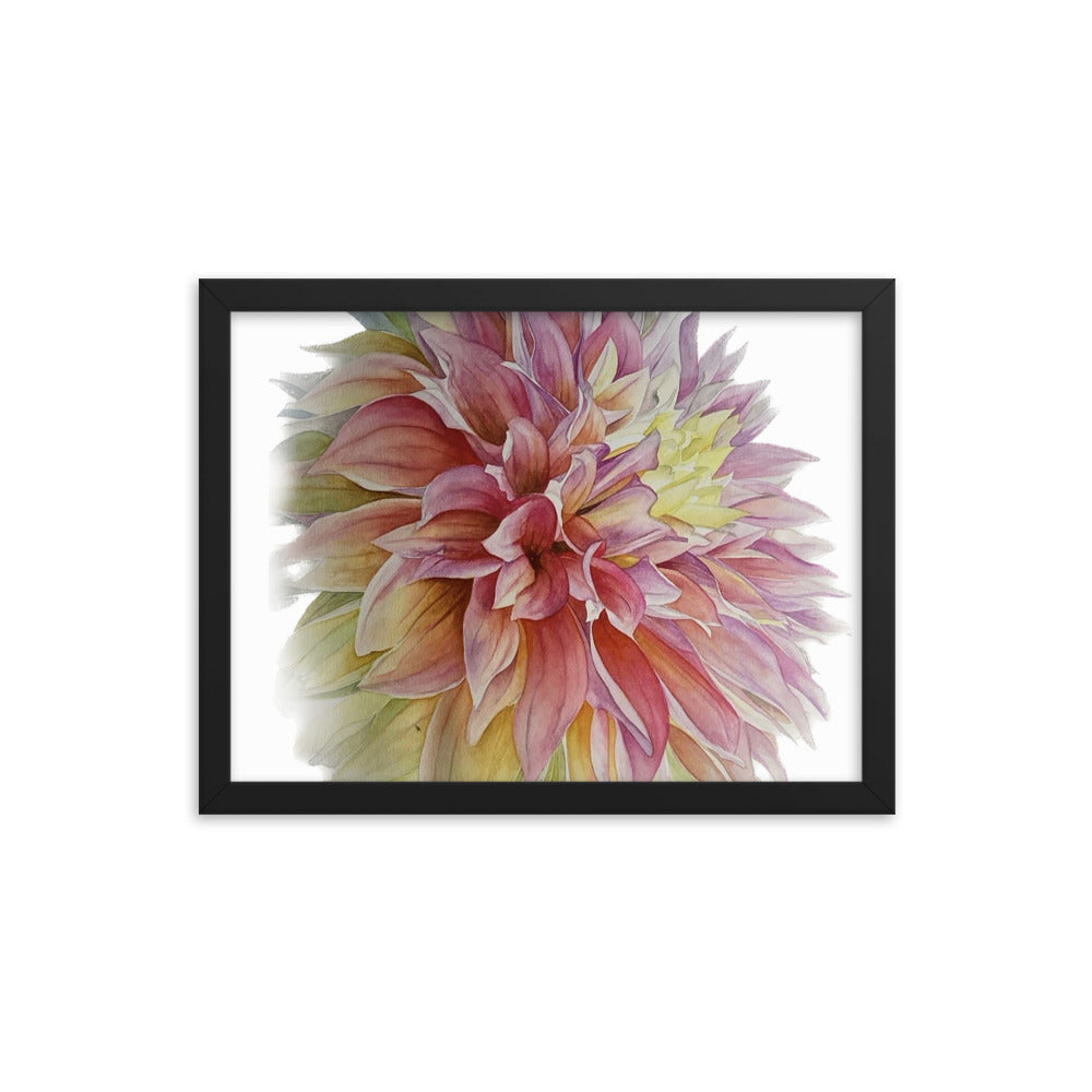 ADVANCE dahlia Framed poster