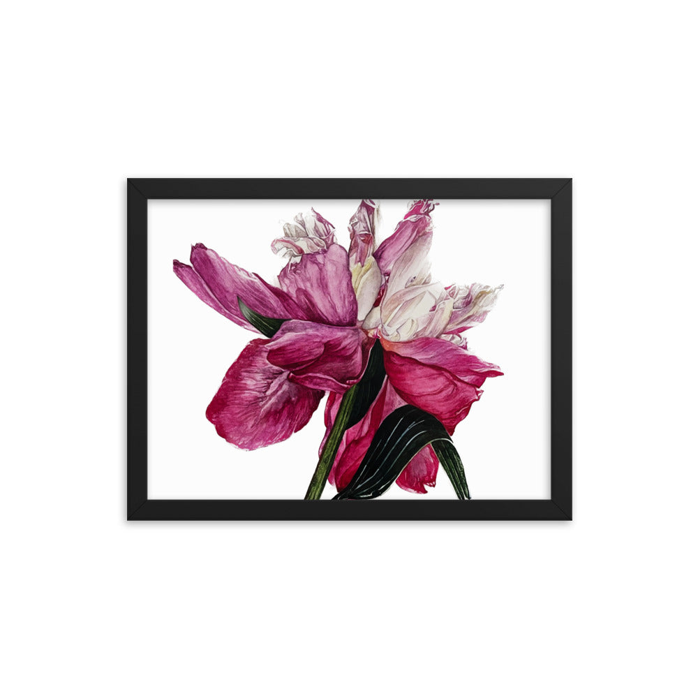 PEONY Framed poster