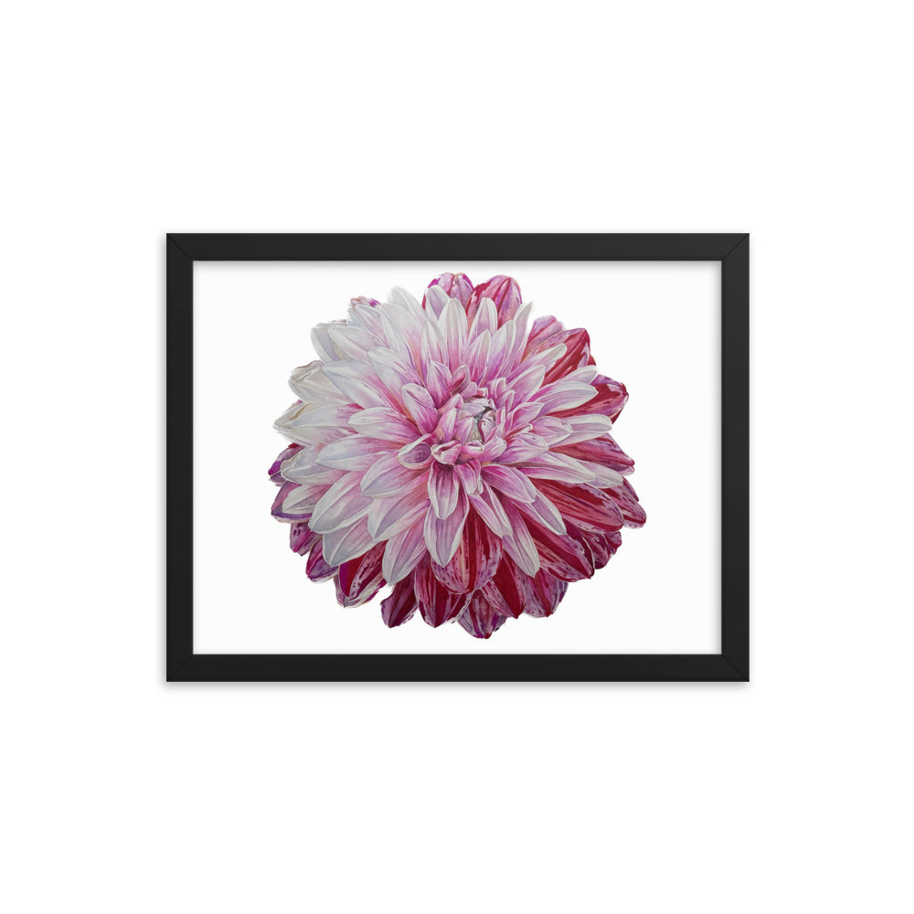 STRAWBERRIES N CREAM dahlia Framed poster