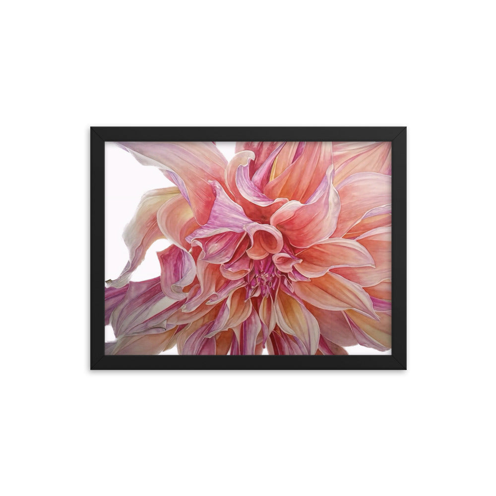LABRYNTH dahlia Framed poster