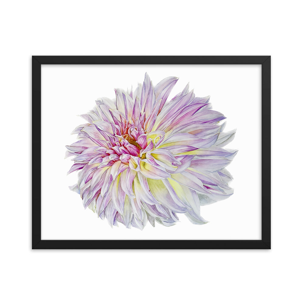 KA'S CHAMPAGNE dahlia Framed poster