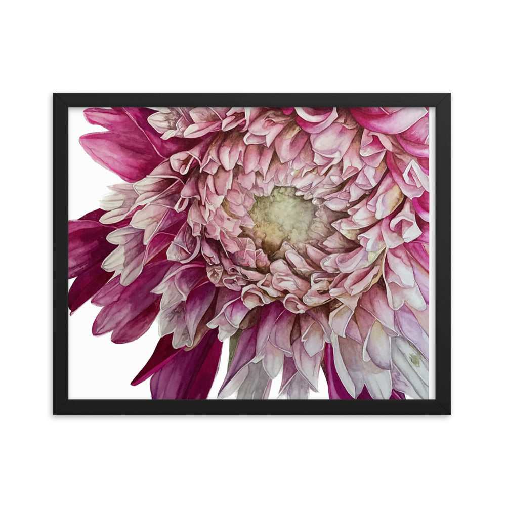 FUZZY WUZZY dahlia Framed poster