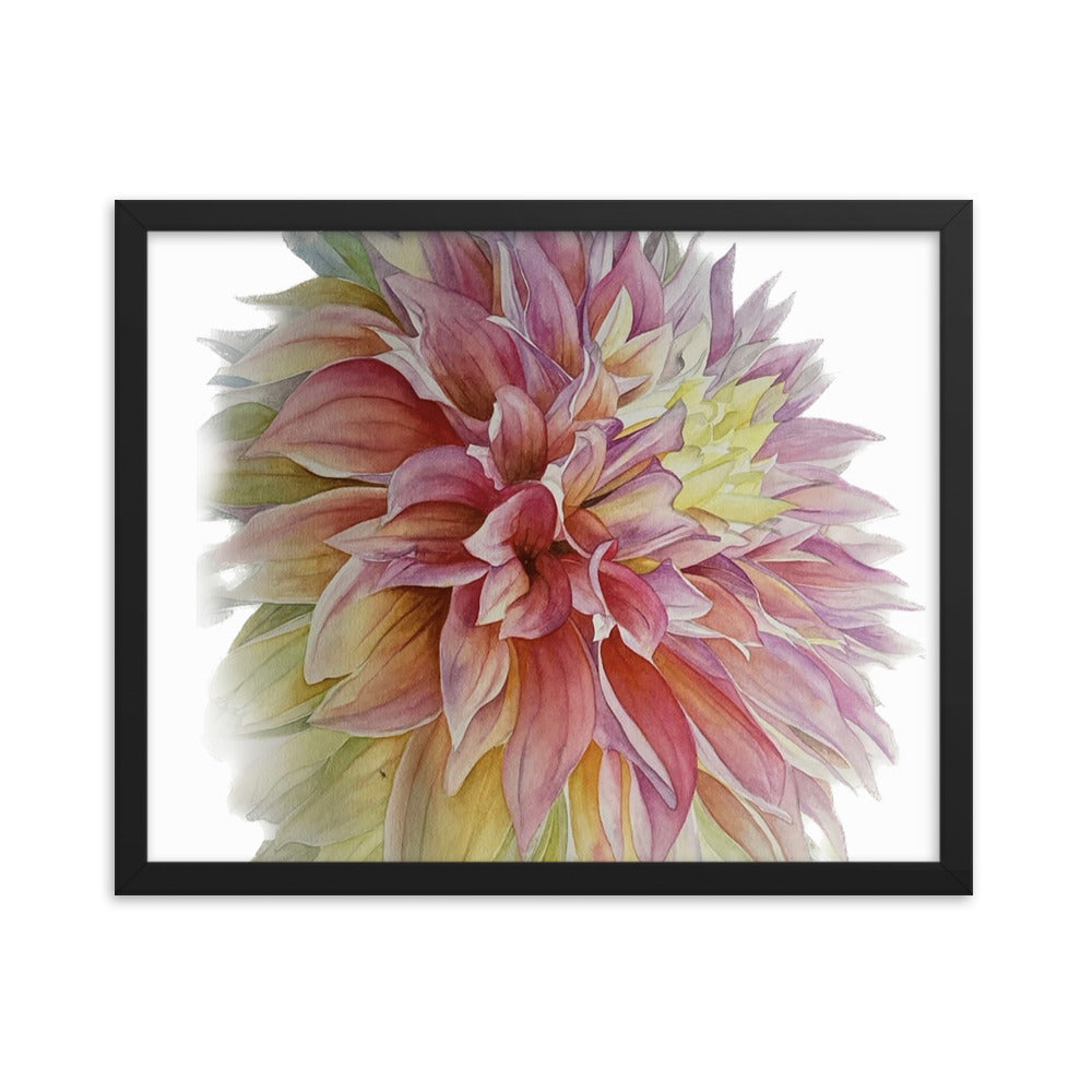 ADVANCE dahlia Framed poster