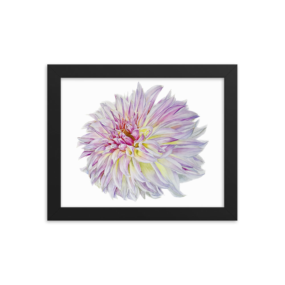 KA'S CHAMPAGNE dahlia Framed poster