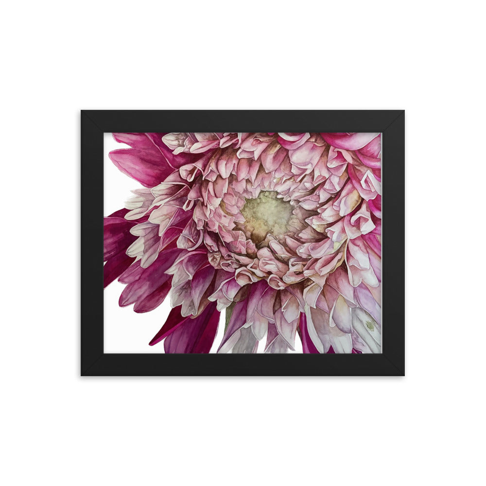 FUZZY WUZZY dahlia Framed poster