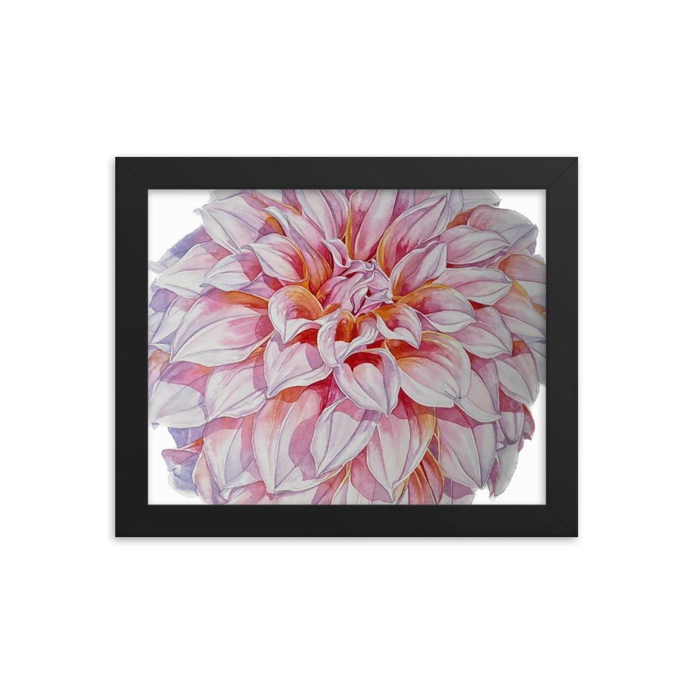 PEACHES dahlia Framed poster