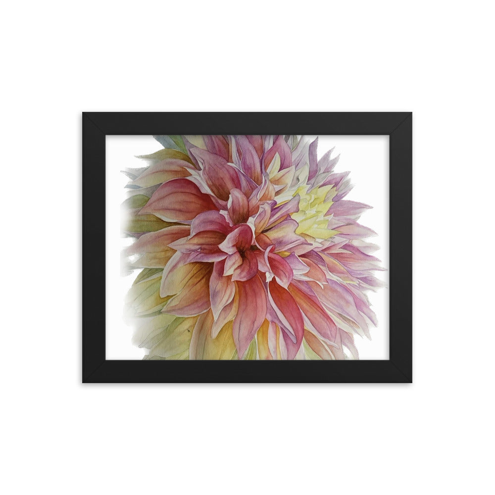 ADVANCE dahlia Framed poster