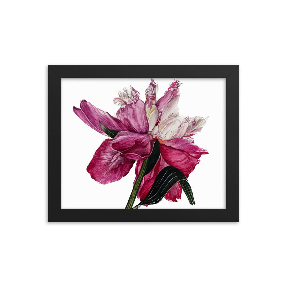 PEONY Framed poster