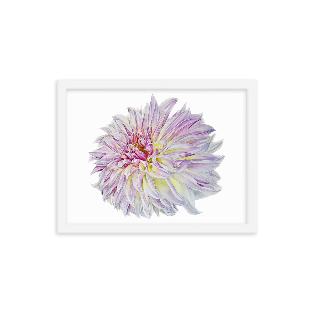 KA'S CHAMPAGNE dahlia Framed poster