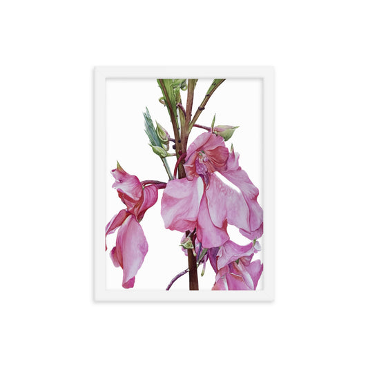 TOUCH-ME-NOT flower Framed poster