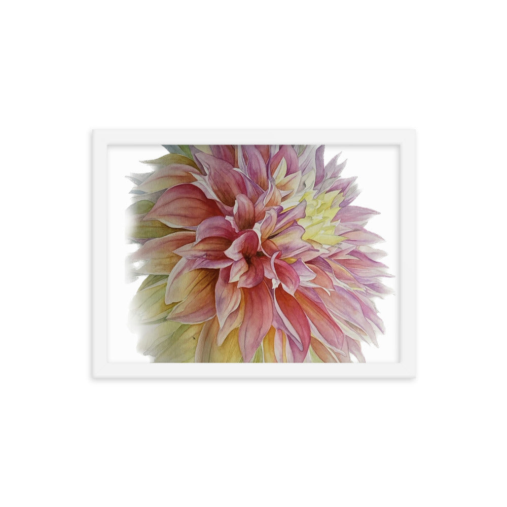 ADVANCE dahlia Framed poster