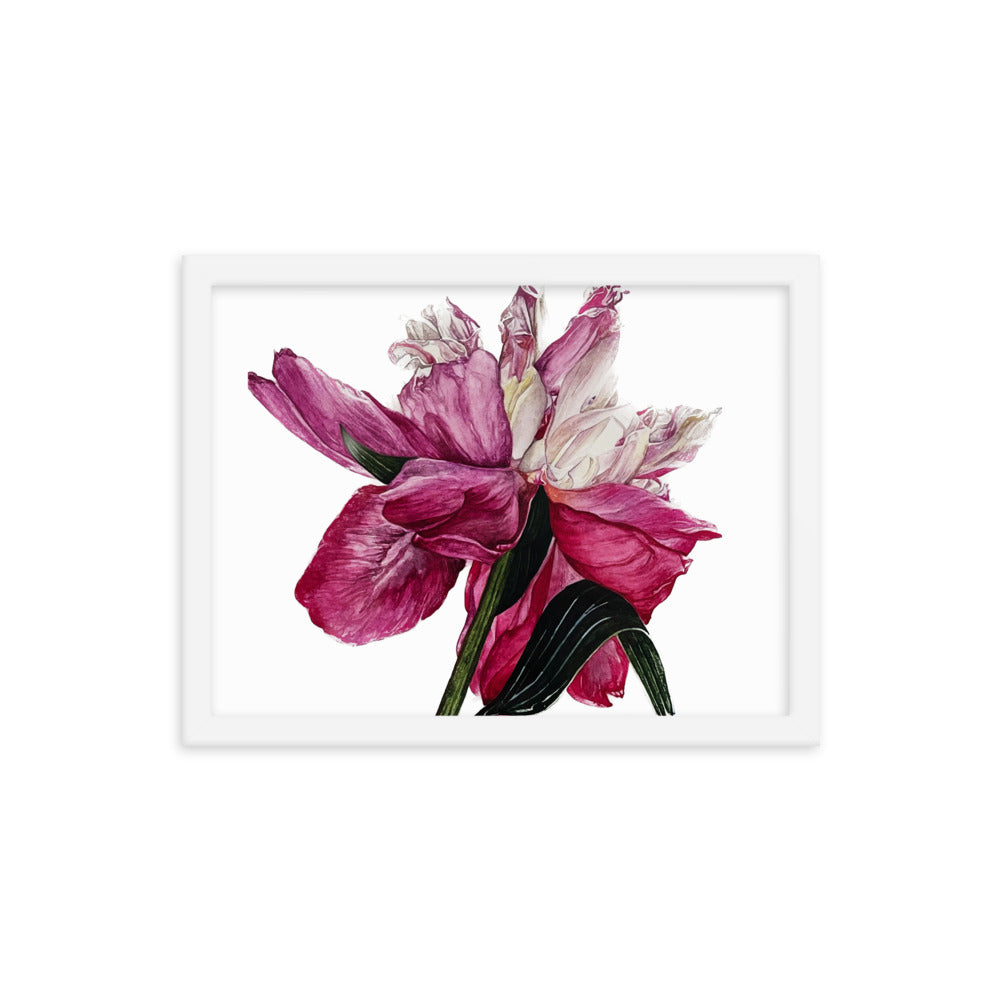 PEONY Framed poster