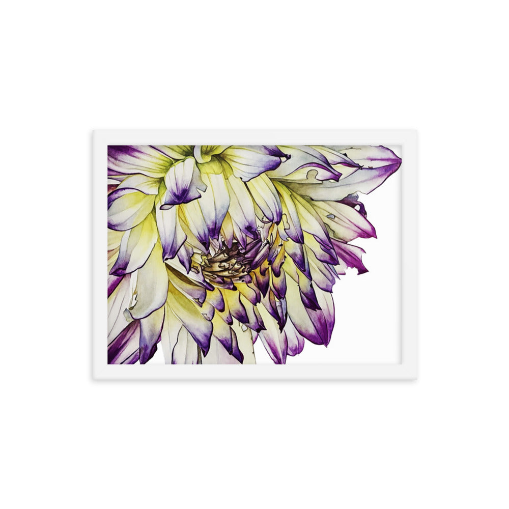 PURPLE TIPPED dahlia Framed poster