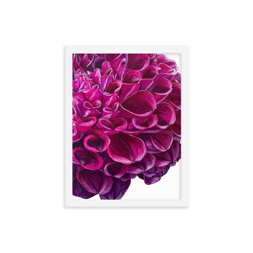 PURPLE BALL dahlia Framed poster