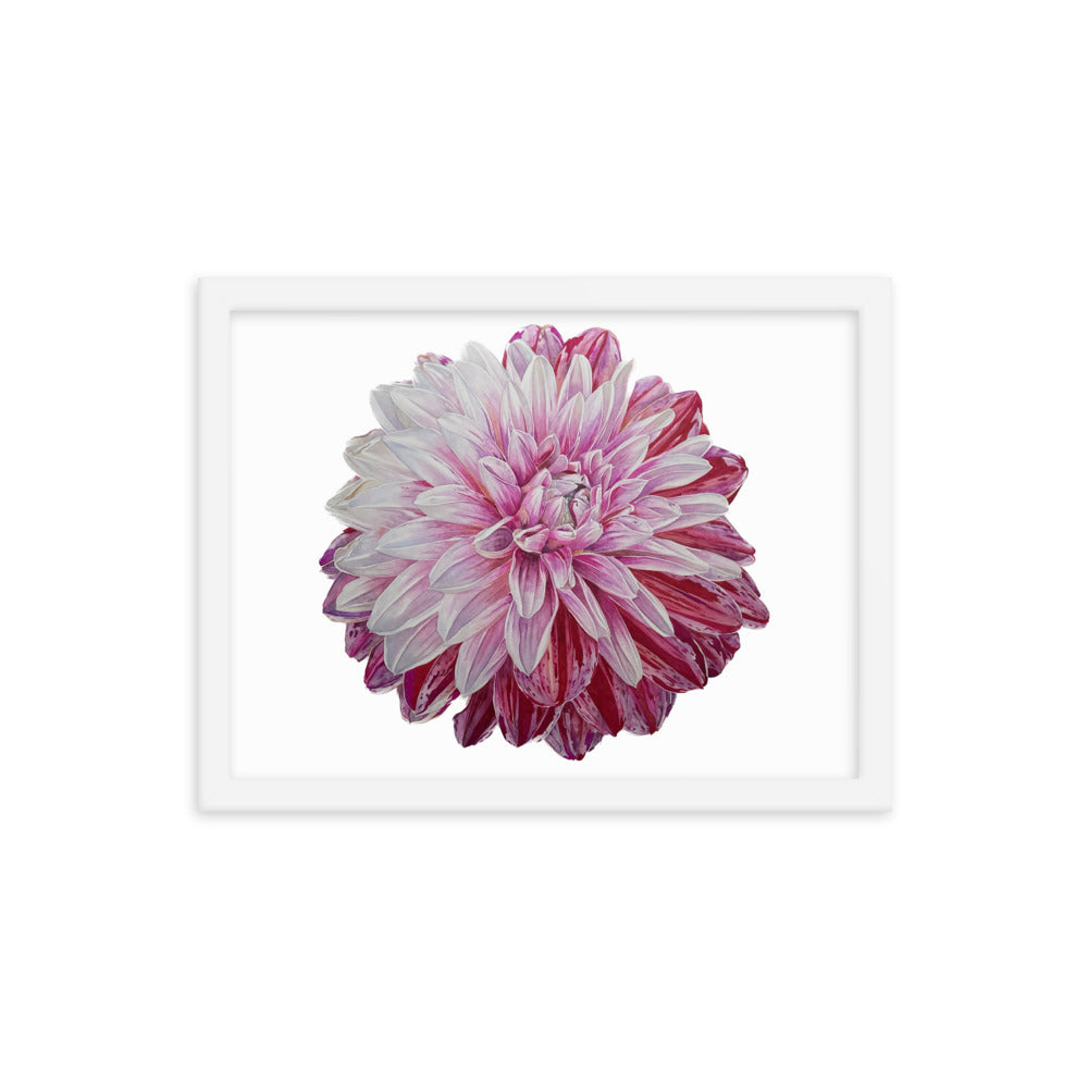 STRAWBERRIES N CREAM dahlia Framed poster