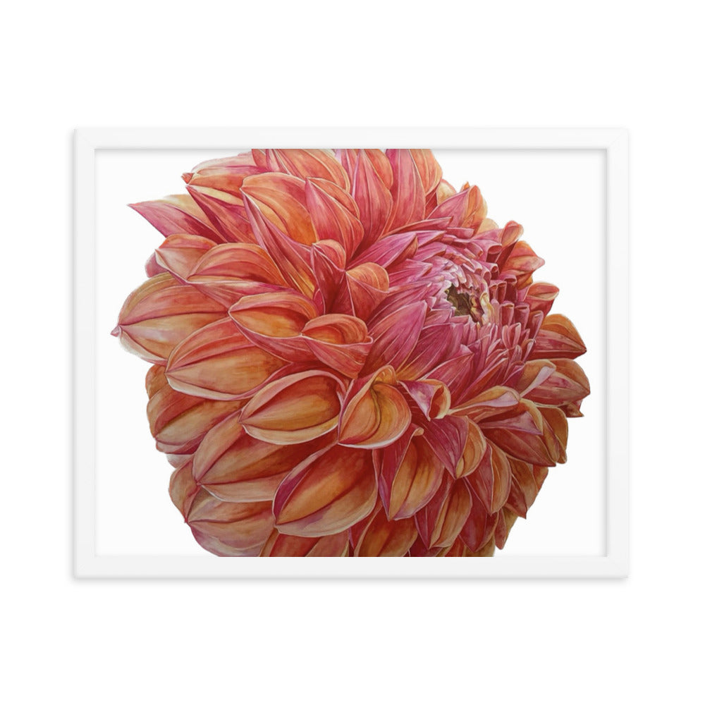 KA'S BLOOD ORANGE dahlia Framed poster