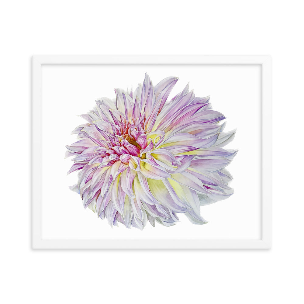KA'S CHAMPAGNE dahlia Framed poster