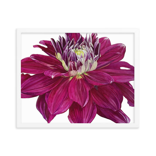 FUSCHIA dahlia Framed poster