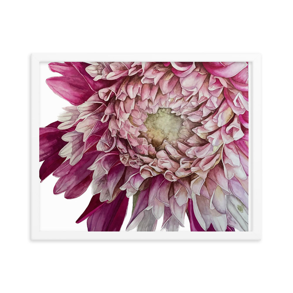 FUZZY WUZZY dahlia Framed poster
