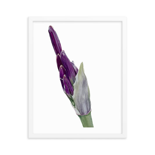 FLOWER BUD Framed poster