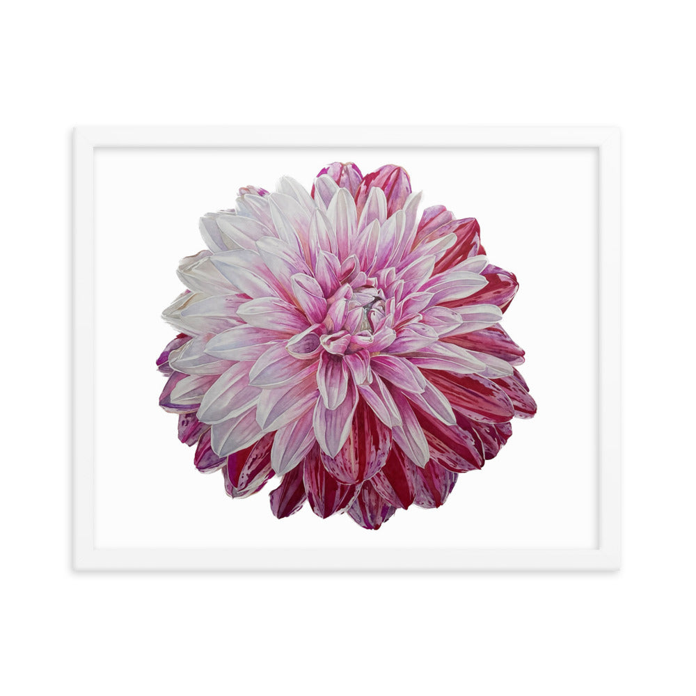 STRAWBERRIES N CREAM dahlia Framed poster