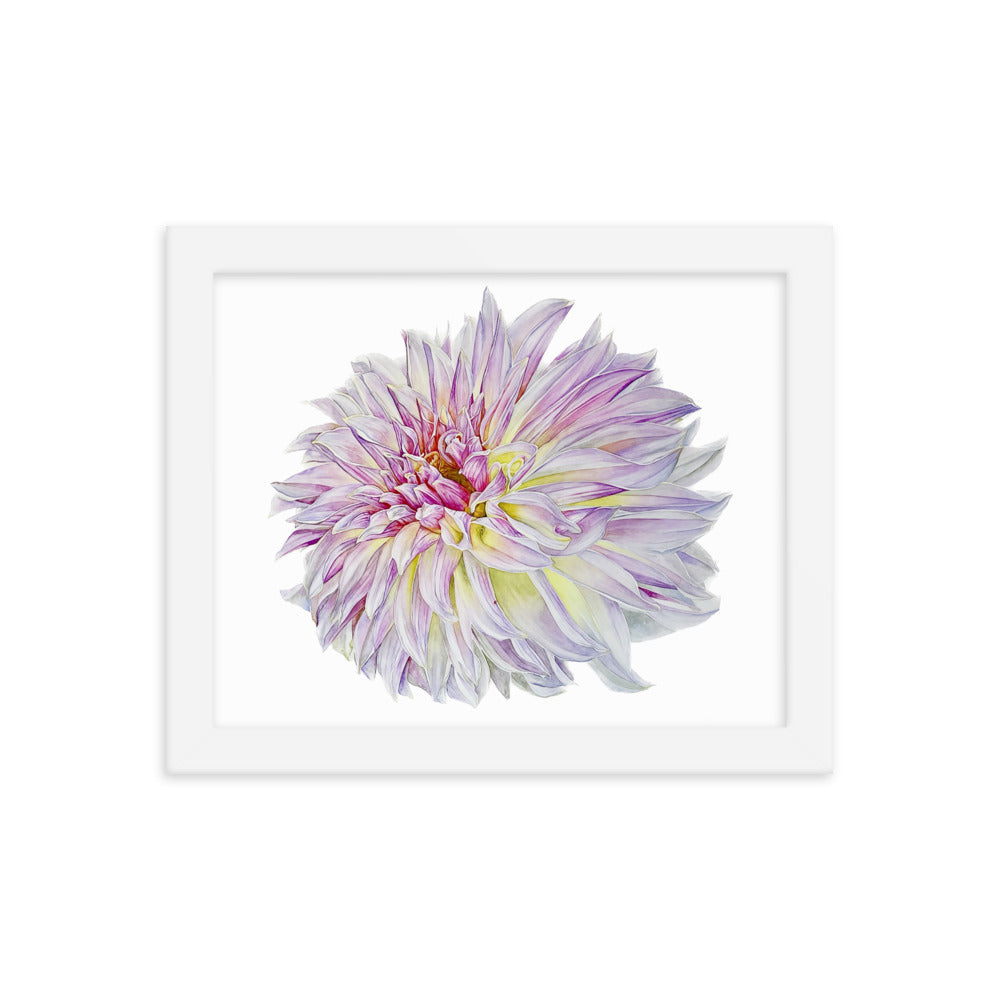 KA'S CHAMPAGNE dahlia Framed poster