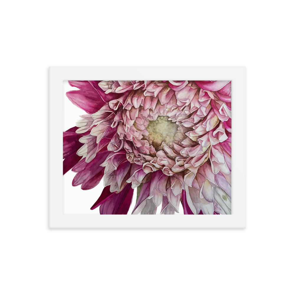 FUZZY WUZZY dahlia Framed poster