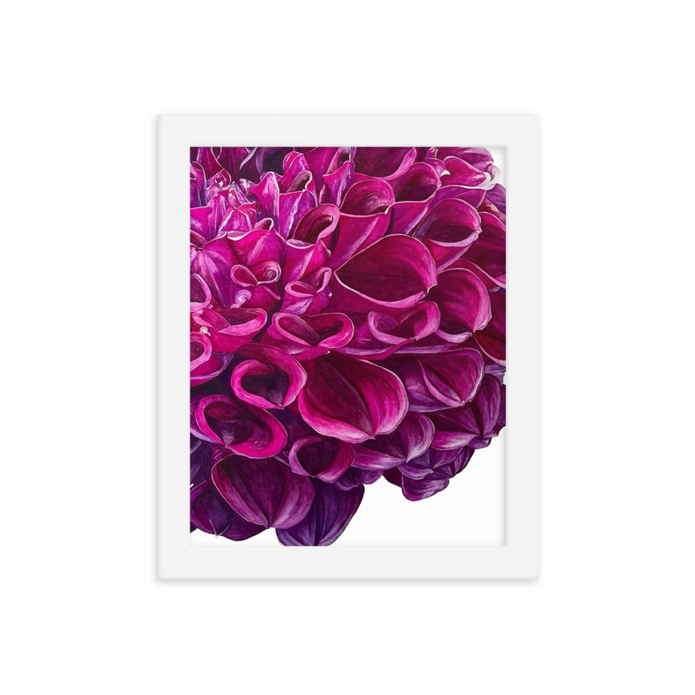 PURPLE BALL dahlia Framed poster