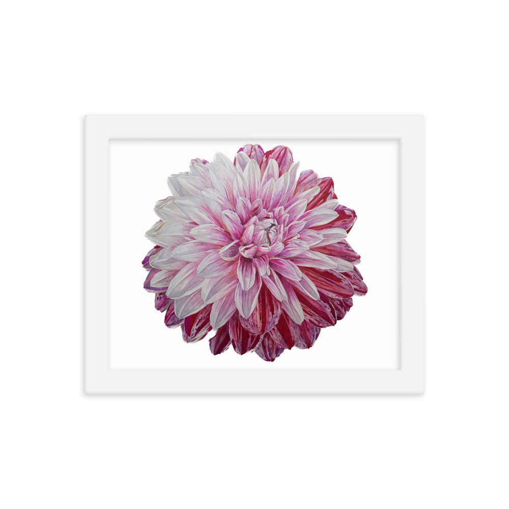 STRAWBERRIES N CREAM dahlia Framed poster