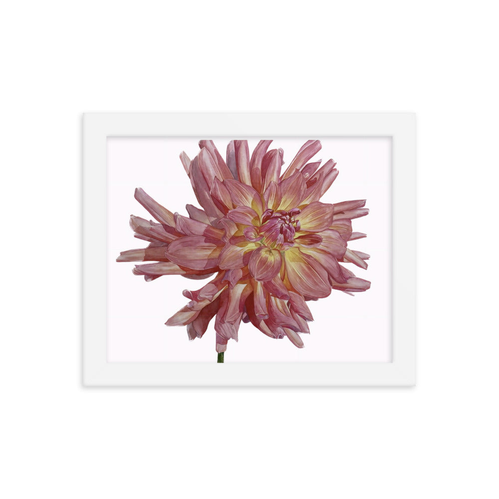 SALMON dahlia Framed poster