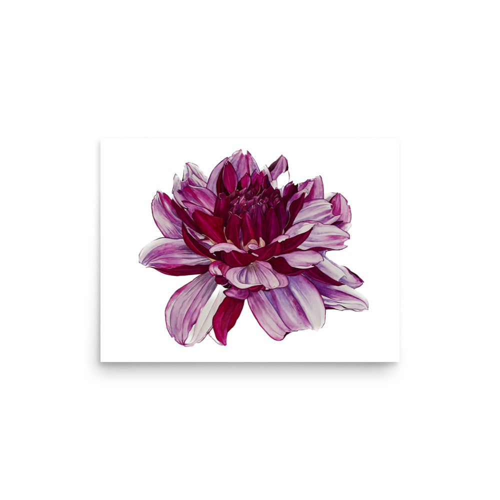 CREME DE CASIS dahlia Poster