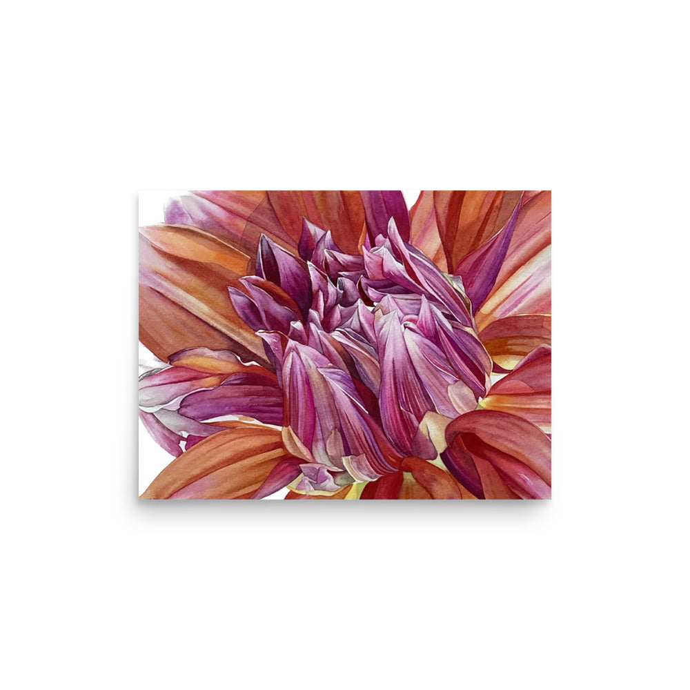 COLOR SPECTACLE dahlia Poster