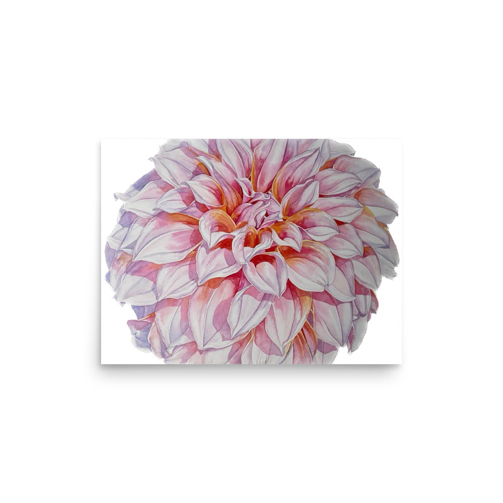 PEACHES dahlia Poster