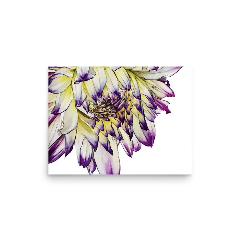 PURPLE TIPPED dalia Poster