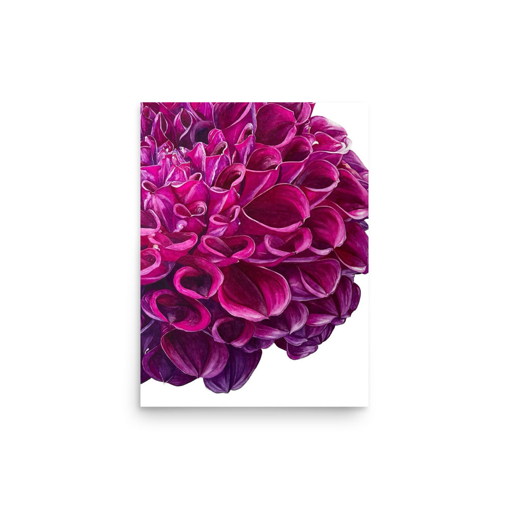 PURPLE BALL dahlia Poster