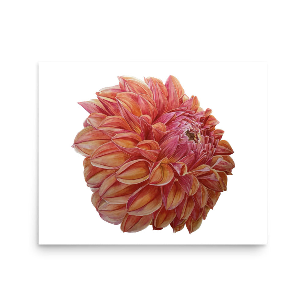 KA'S BLOOD ORANGE dahlia Poster