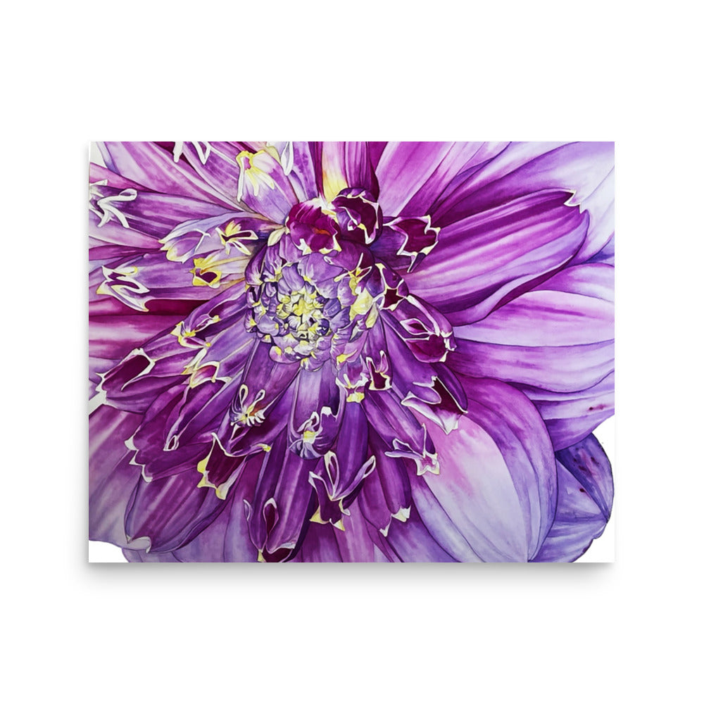 ANEMONE dahlia Poster