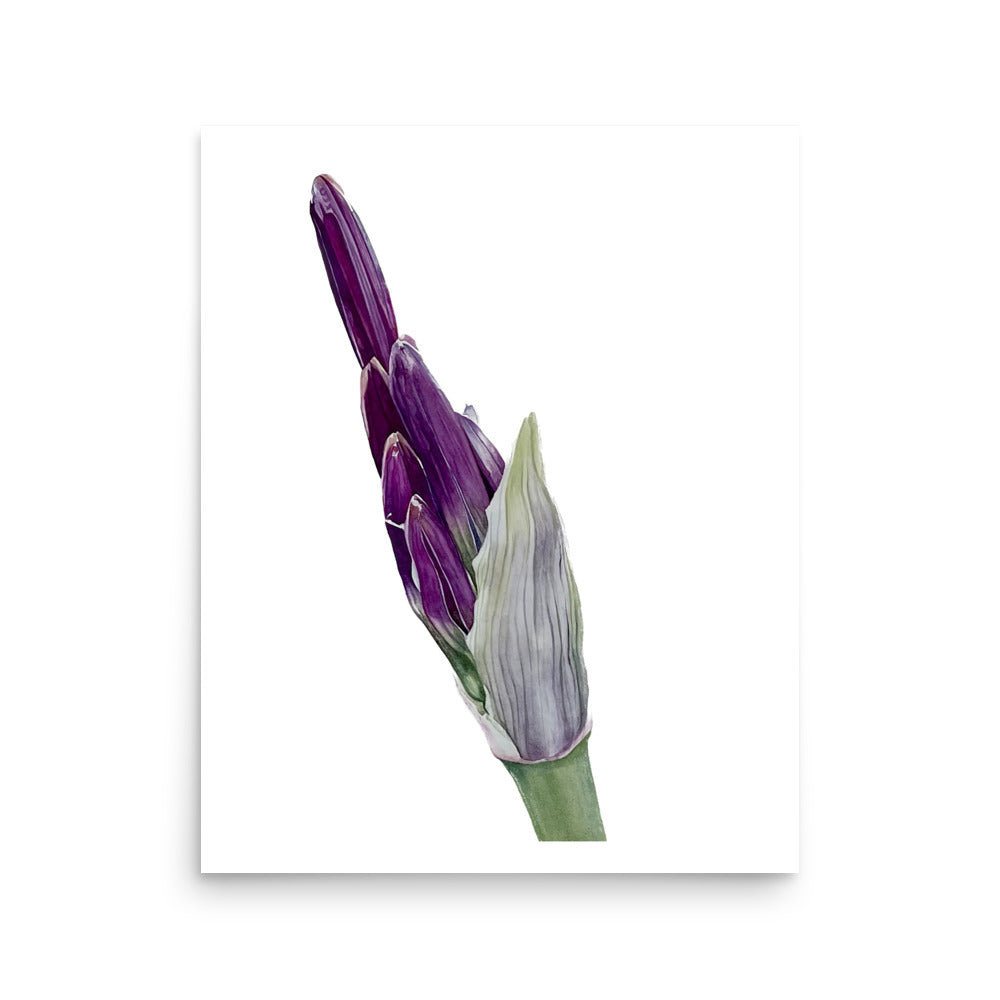FLOWER BUD Poster