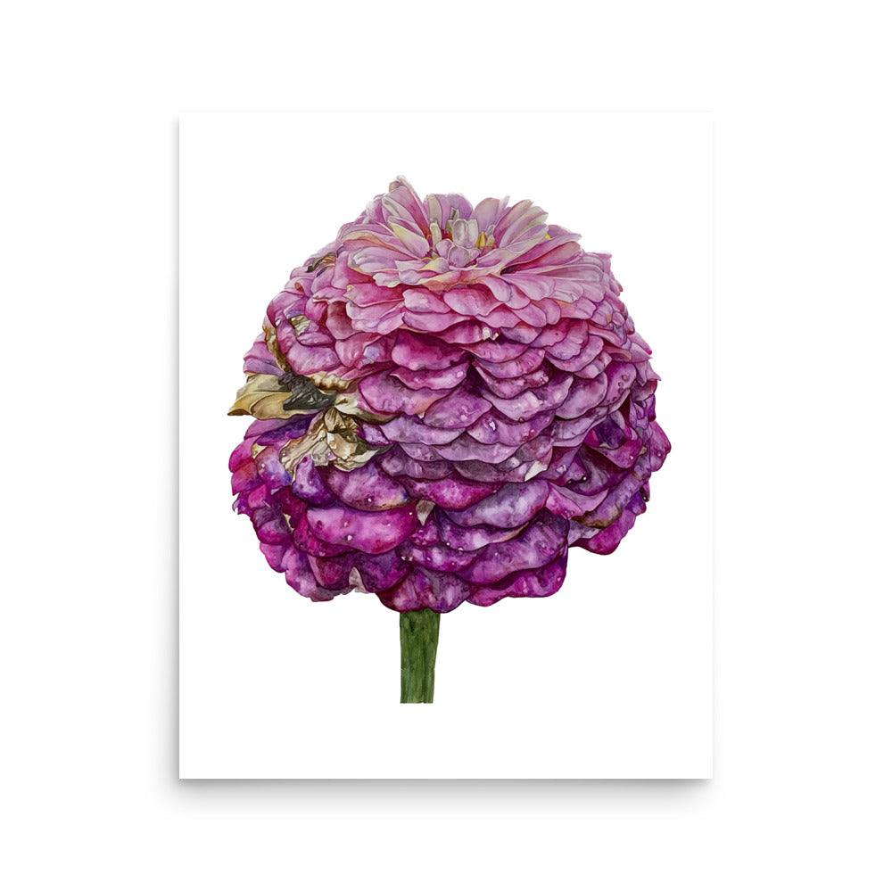 FADED PURPLE zinnia Poster