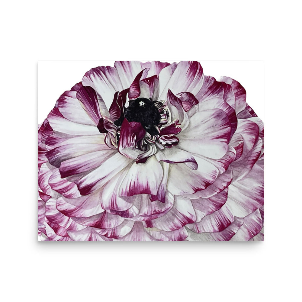 RANUNCULUS Poster